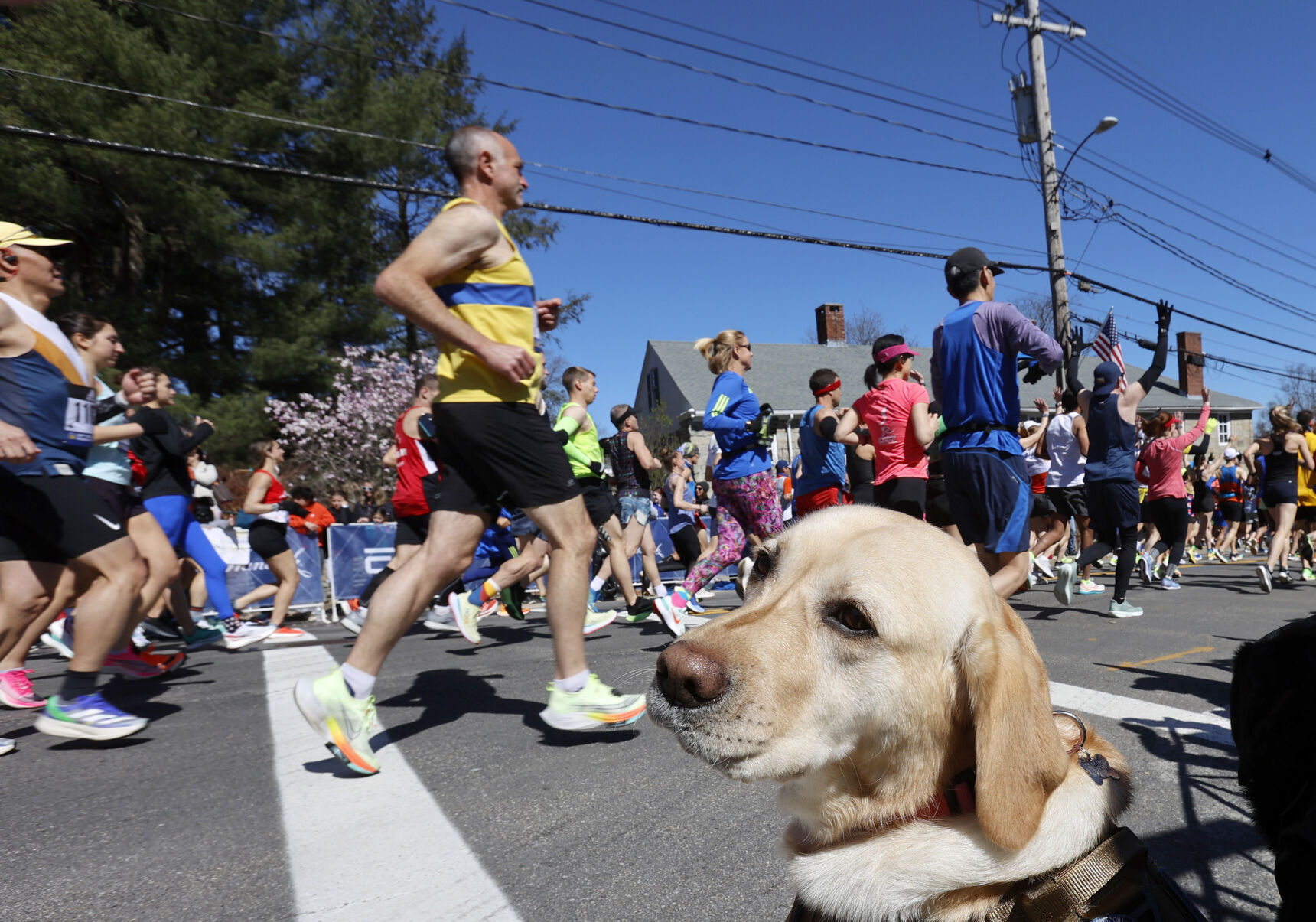 Boston Marathon